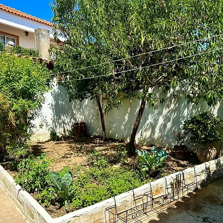Atelier 20Th Villa Ervidel Exterior photo